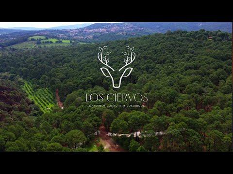 Previsualización de video